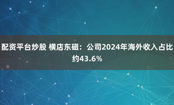 配资平台炒股 横店东磁：公司2024年海外收入占比约43.6%