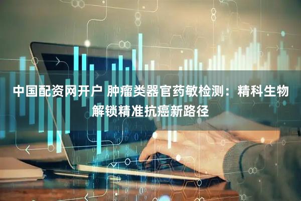 中国配资网开户 肿瘤类器官药敏检测：精科生物解锁精准抗癌新路径